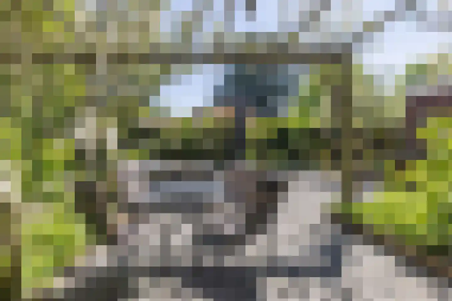Kastanjehof 10 Velp thumbnail 5