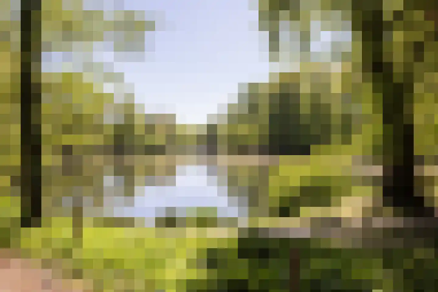 Kastanjehof 10 Velp thumbnail 51