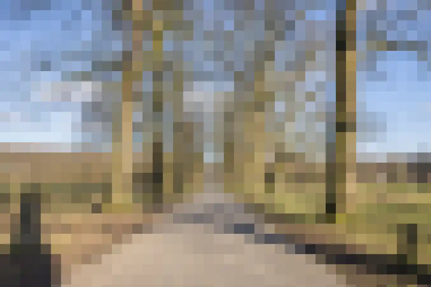 Kastanjehof 10 Velp thumbnail 52