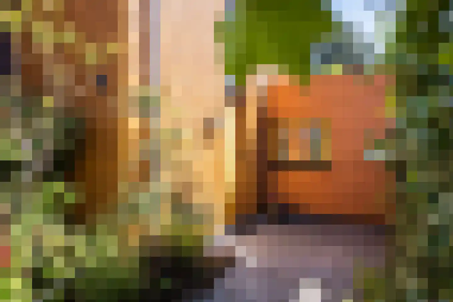 Kastanjehof 10 Velp thumbnail 6