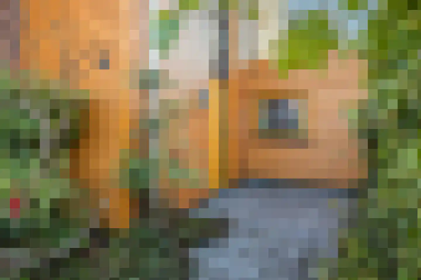Kastanjehof 10 Velp thumbnail 6
