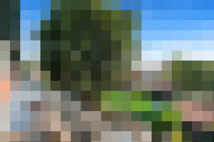 Kastanjehof 13 Maasland thumbnail 31