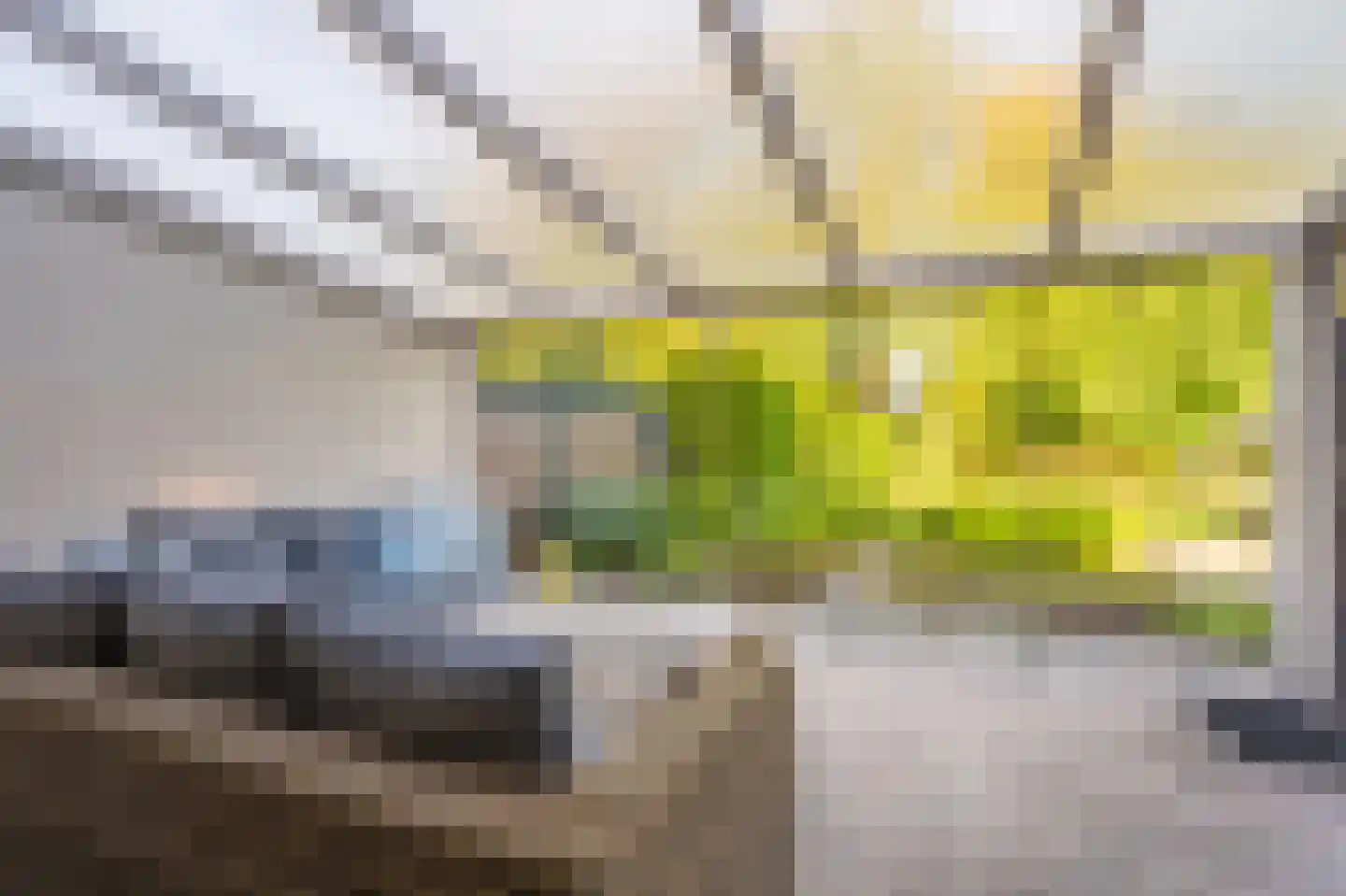Kastanjehof 13 Winschoten thumbnail 30