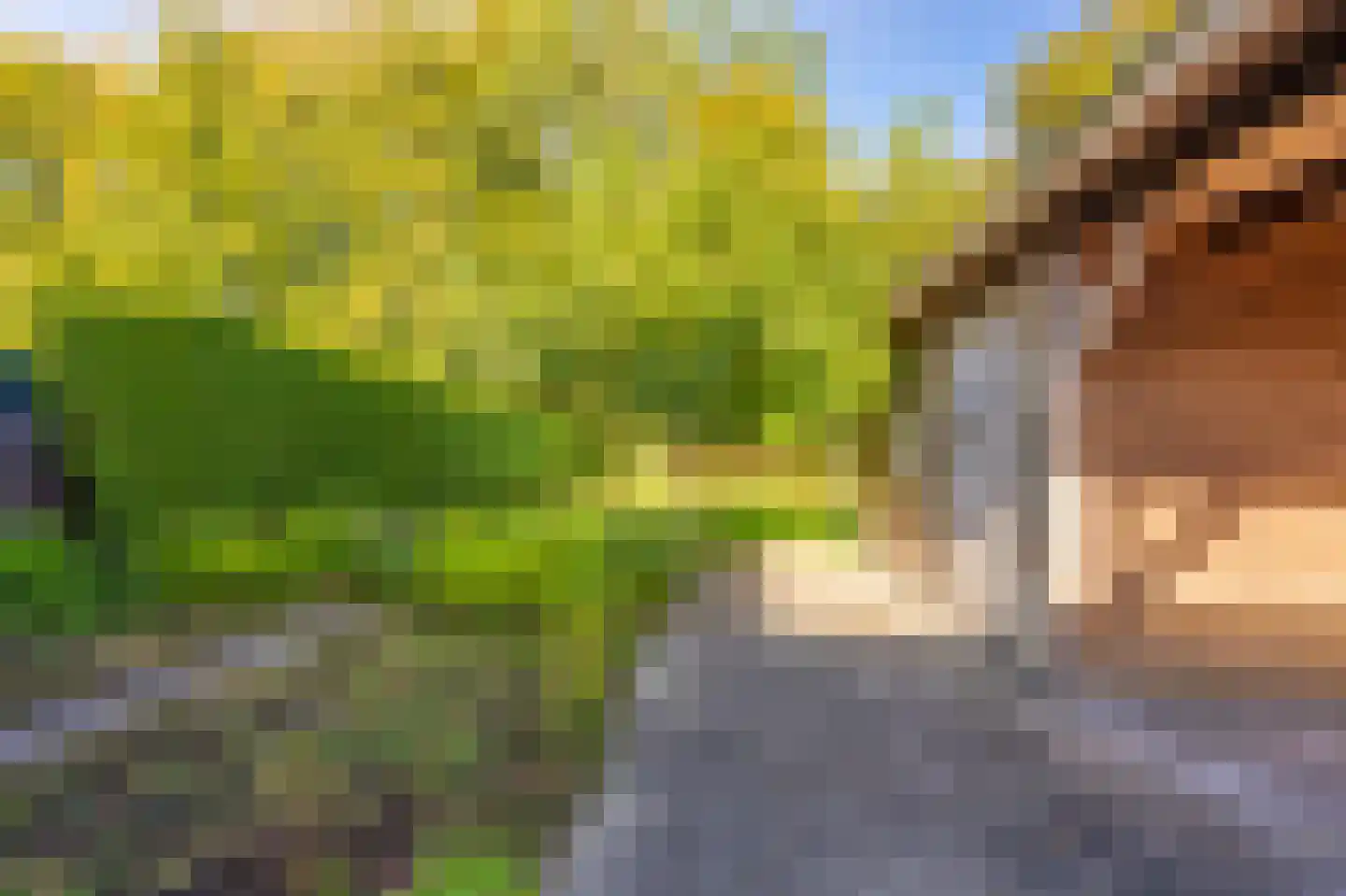 Kastanjehof 13 Winschoten thumbnail 53