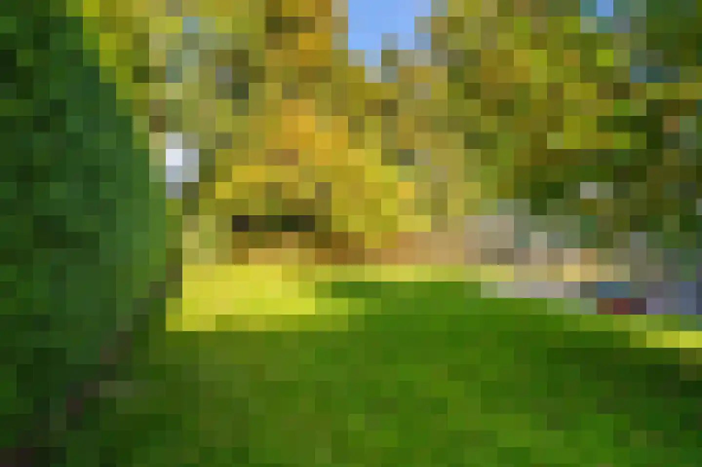 Kastanjehof 13 Winschoten thumbnail 56