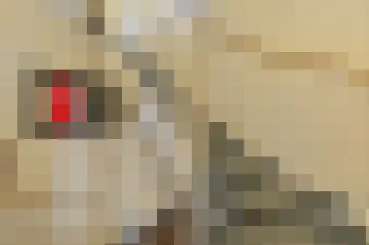 Kastanjehof 14 Maasland thumbnail 23