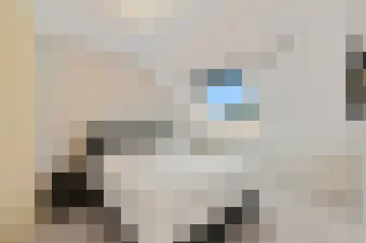 Kastanjehof 14 Maasland thumbnail 29