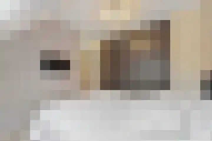 Kastanjehof 14 Maasland thumbnail 30
