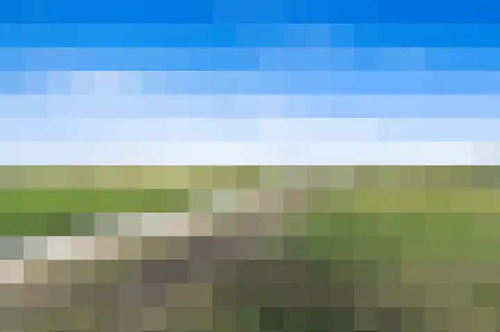 Kastanjehof 14 Maasland thumbnail 48