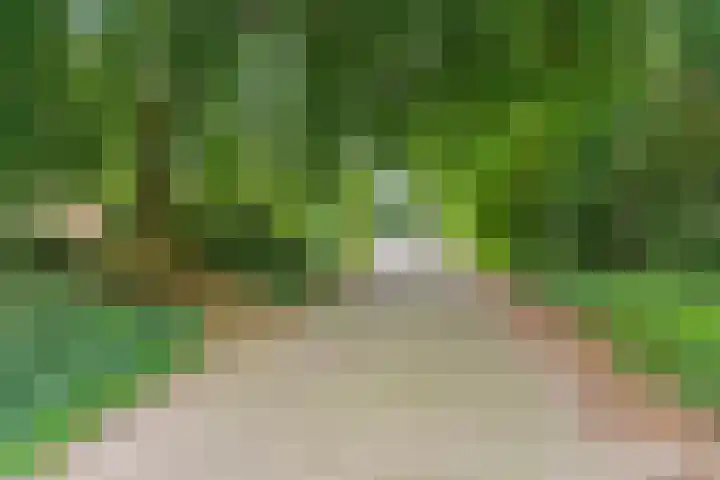 Kastanjehof 16 Velp thumbnail 10