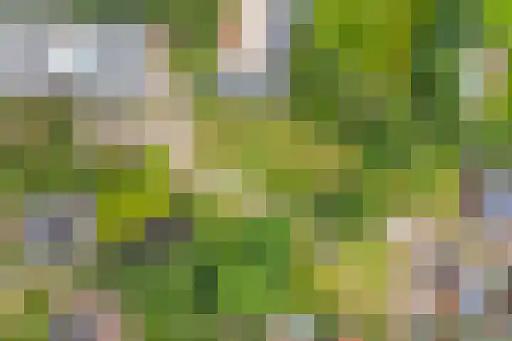 Kastanjehof 16 Velp thumbnail 11