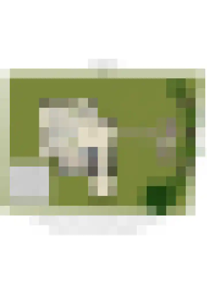 Kastanjehof 16 Velp thumbnail 12