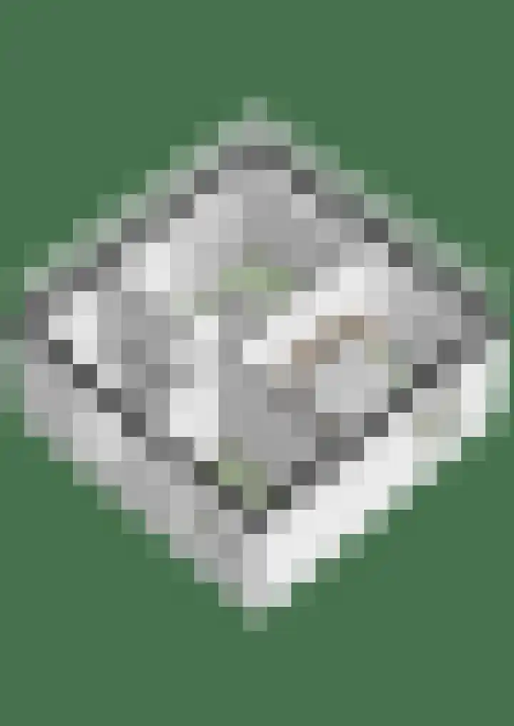 Kastanjehof 16 Velp thumbnail 21