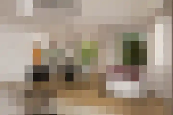 Kastanjehof 16 Velp thumbnail 5
