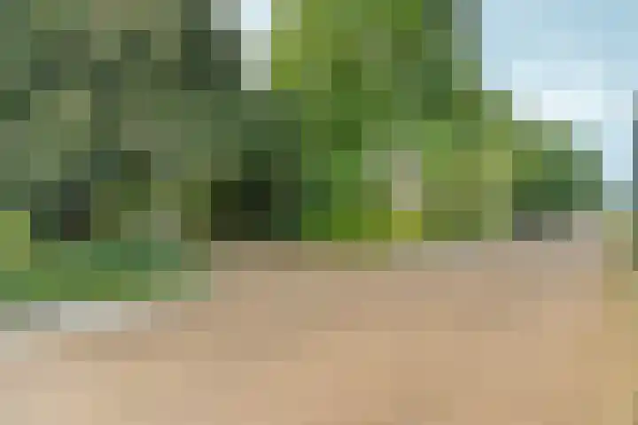 Kastanjehof 16 Velp thumbnail 9