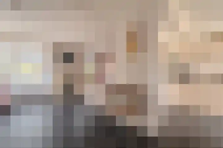 Kastanjehof 16 Winschoten thumbnail 13