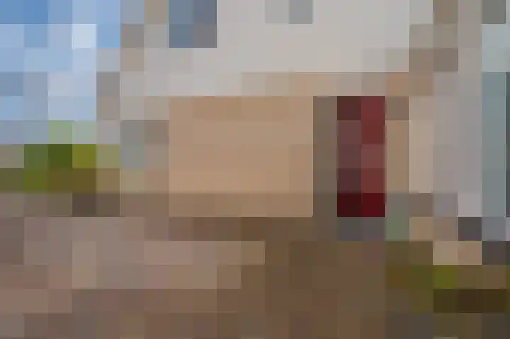 Kastanjehof 16 Winschoten thumbnail 4