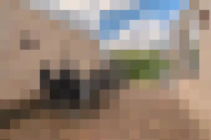 Kastanjehof 16 Winschoten thumbnail 41