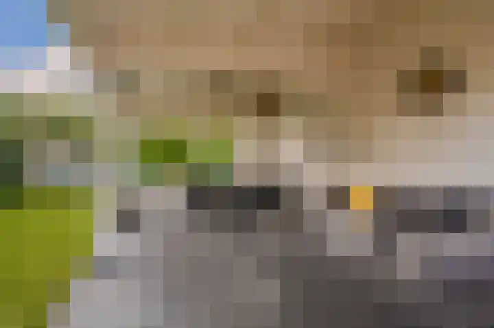 Kastanjehof 16 Winschoten thumbnail 49