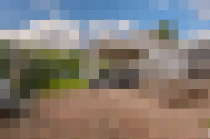 Kastanjehof 16 Winschoten thumbnail 50
