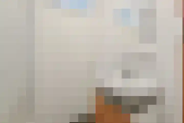 Kastanjehof 17 Maasland thumbnail 31
