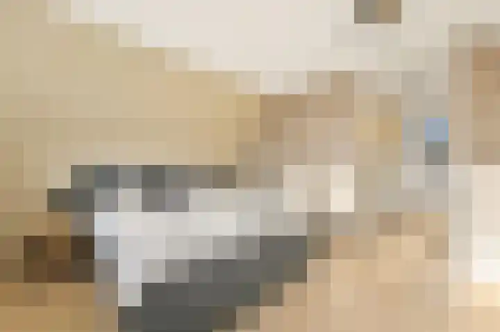 Kastanjehof 17 Maasland thumbnail 34