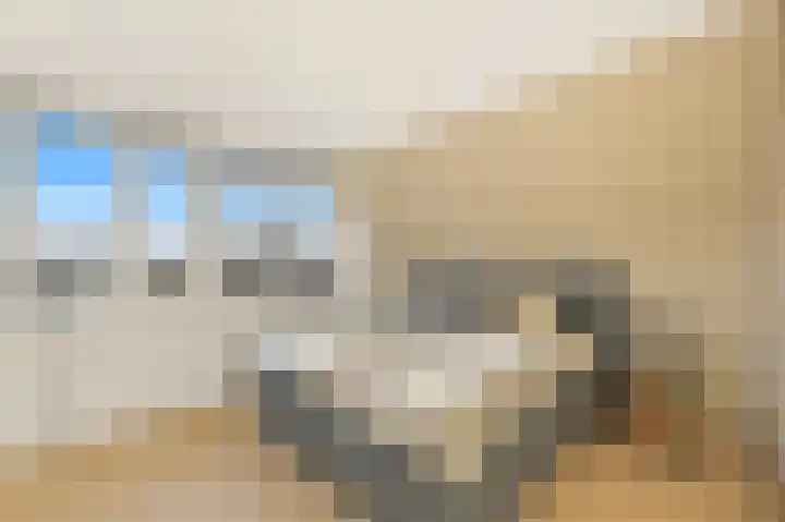 Kastanjehof 17 Maasland thumbnail 35