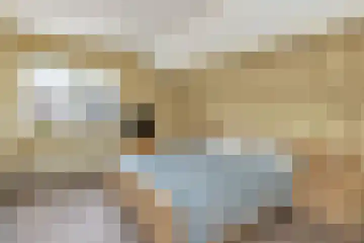 Kastanjehof 17 Meerkerk thumbnail 24