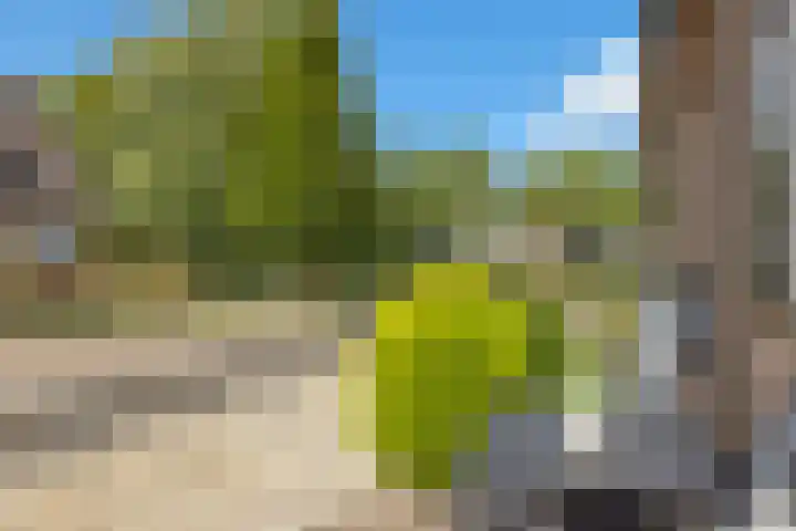Kastanjehof 17 Meerkerk thumbnail 37