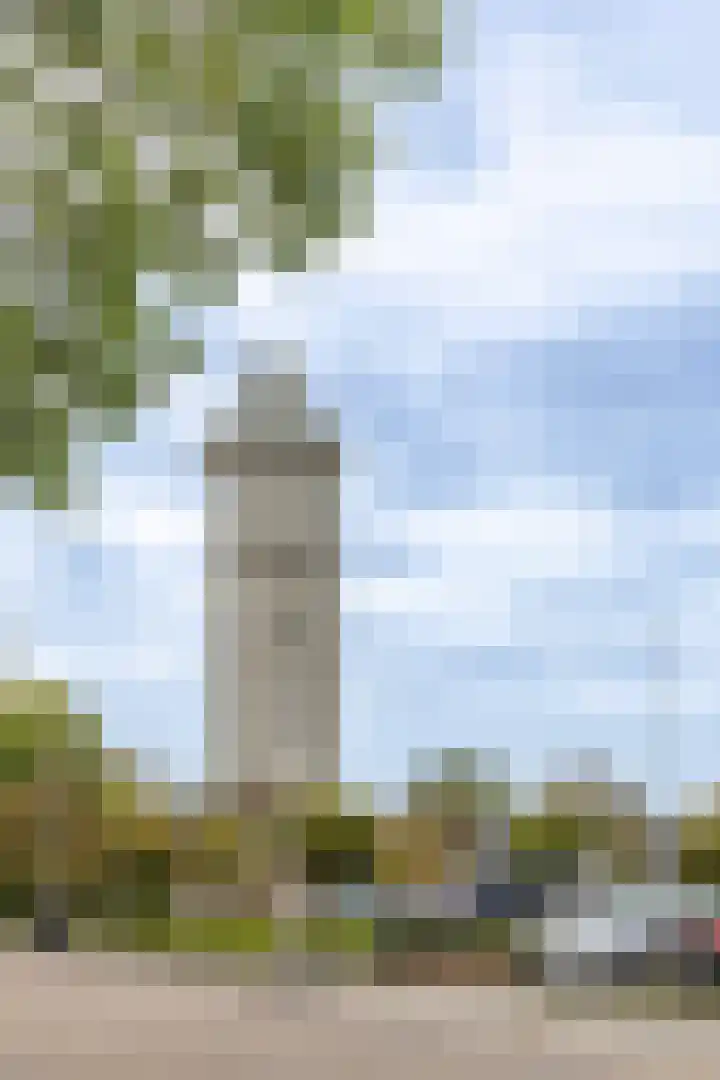 Kastanjehof 17 Meerkerk thumbnail 38