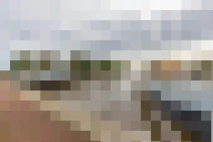 Kastanjehof 17 Meerkerk thumbnail 39