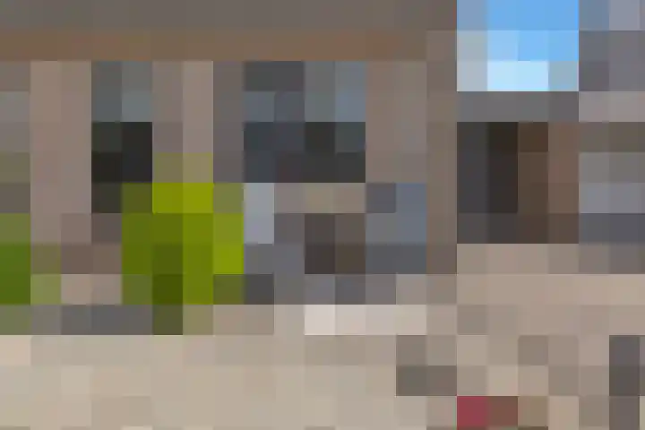 Kastanjehof 17 Meerkerk thumbnail 4