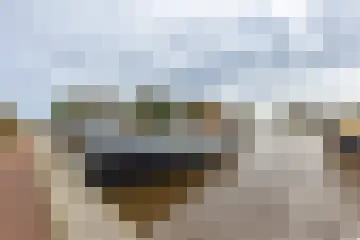 Kastanjehof 17 Meerkerk thumbnail 40