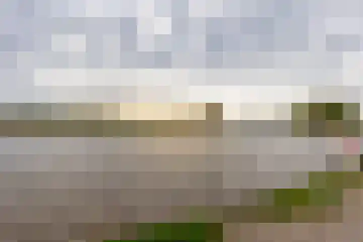 Kastanjehof 17 Meerkerk thumbnail 41