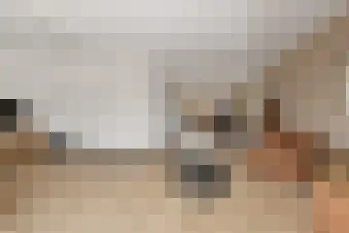 Kastanjehof 17 Meerkerk thumbnail 6