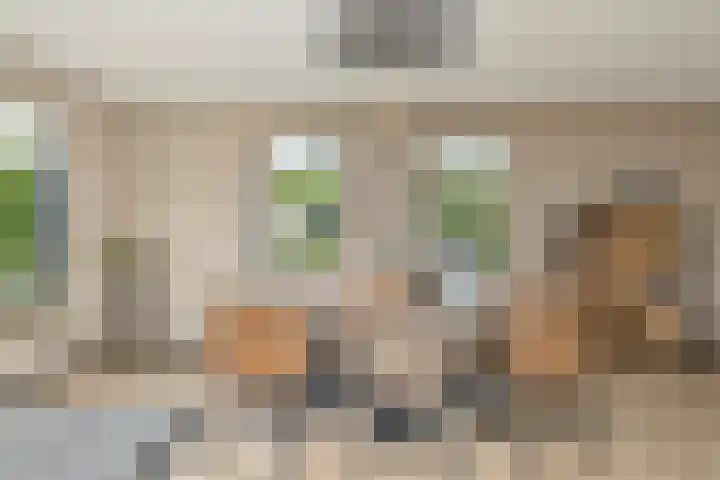 Kastanjehof 17 Meerkerk thumbnail 8