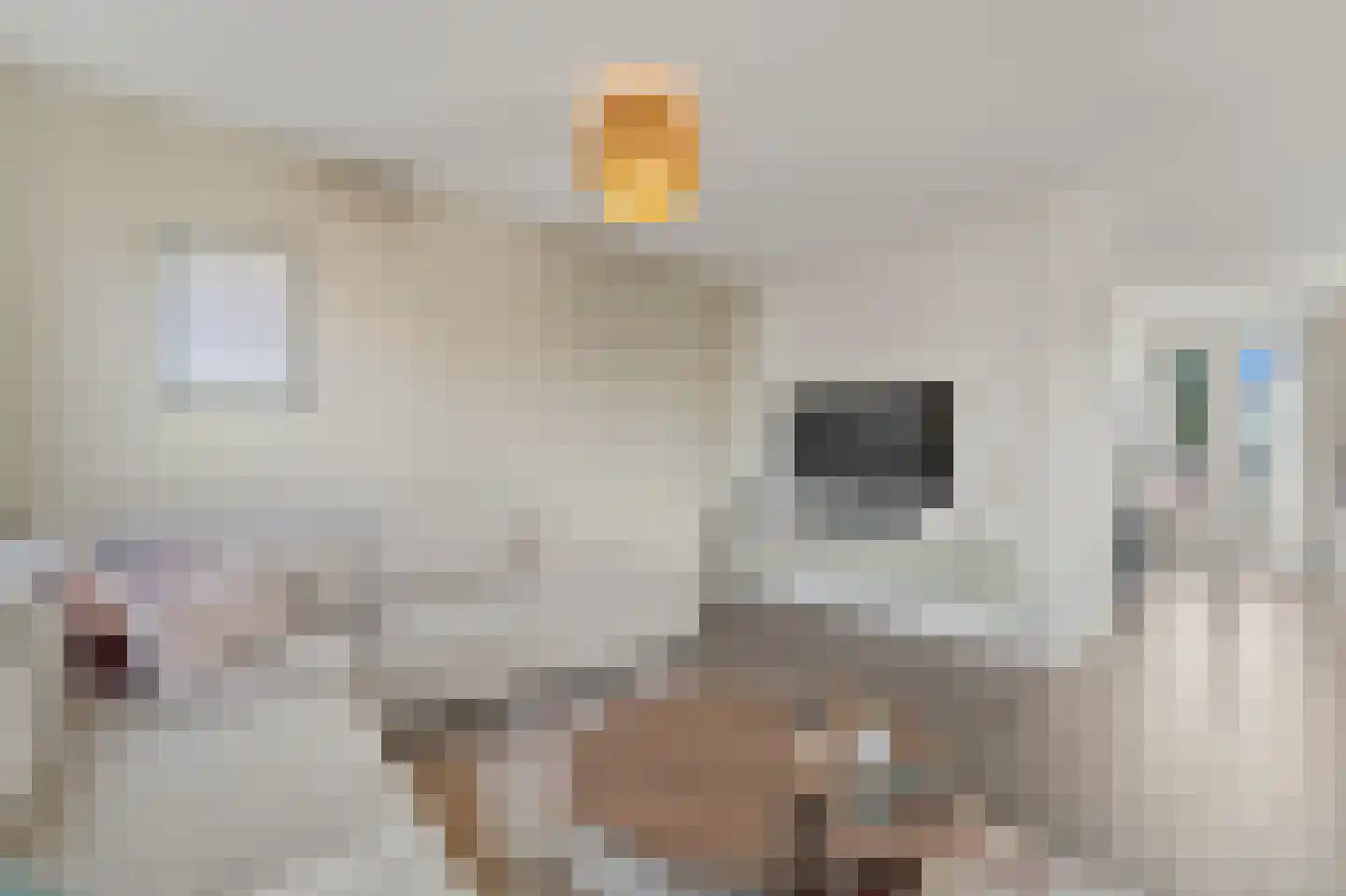Kastanjehof 18 Maasland thumbnail 14