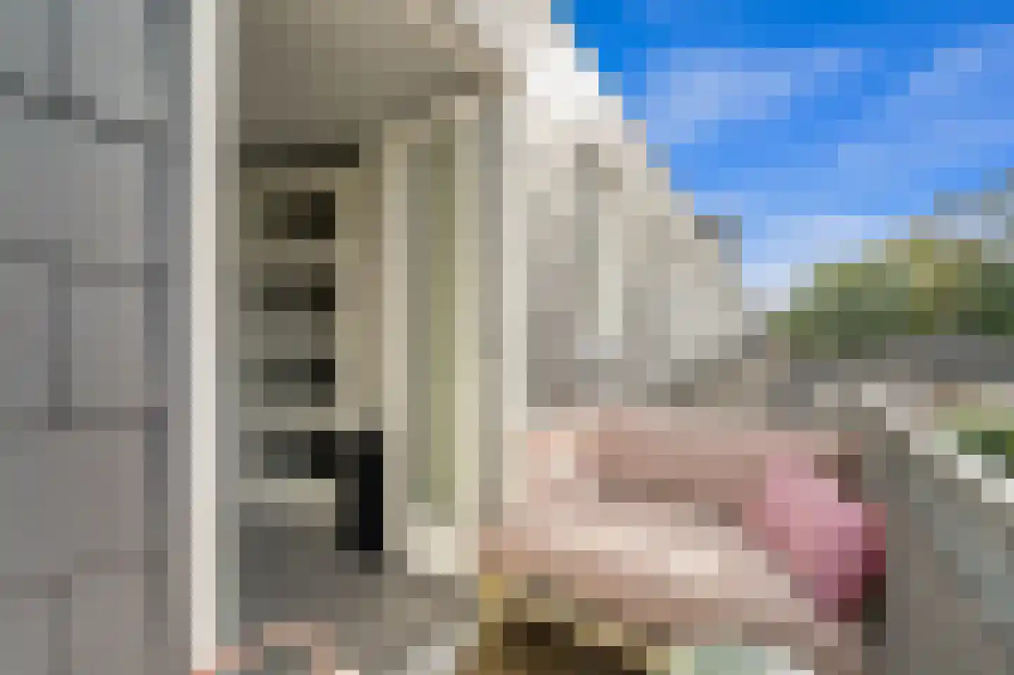 Kastanjehof 18 Maasland thumbnail 20
