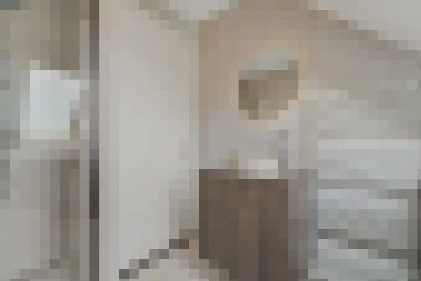Kastanjehof 18 Maasland thumbnail 5