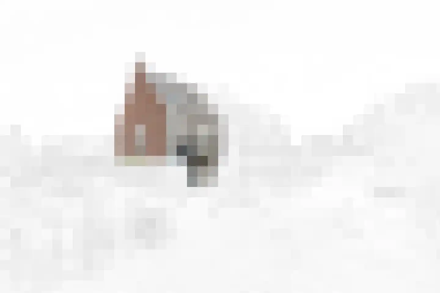 Kastanjehof 18 Maasland thumbnail 8