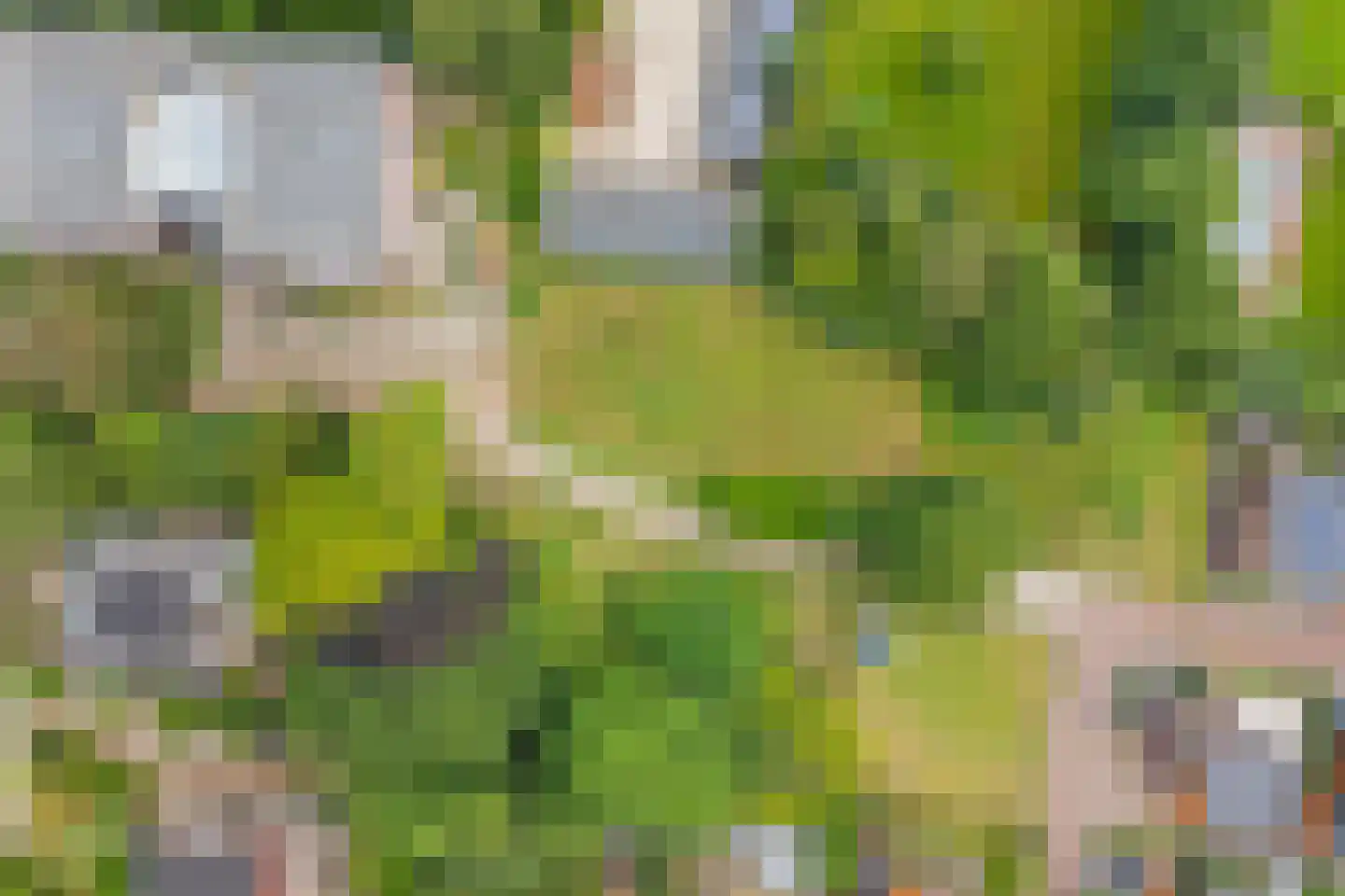 Kastanjehof 20 Velp thumbnail 11