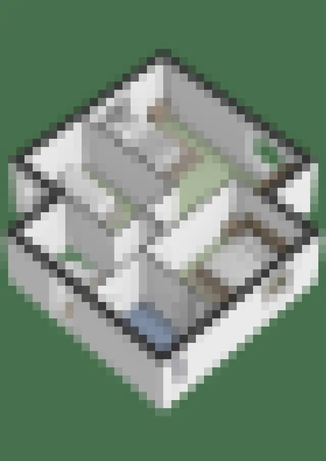 Kastanjehof 20 Velp thumbnail 16