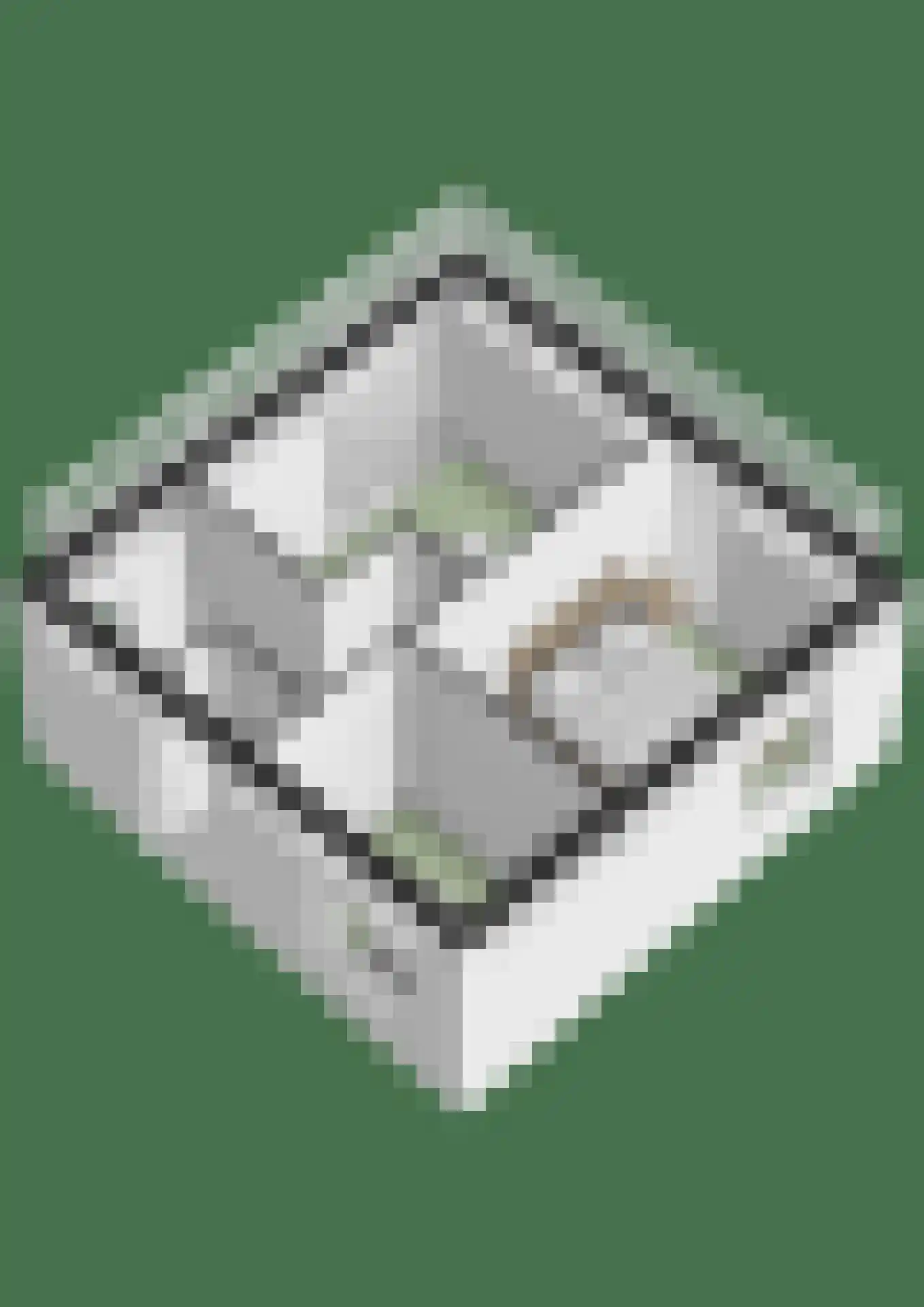 Kastanjehof 20 Velp thumbnail 21