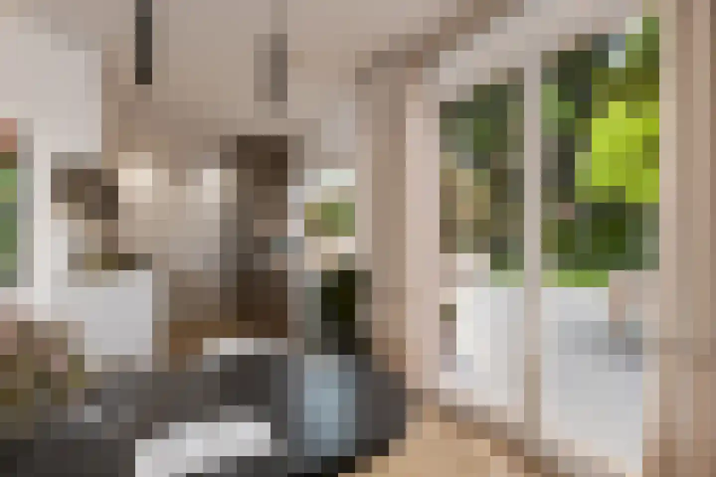Kastanjehof 20 Velp thumbnail 6
