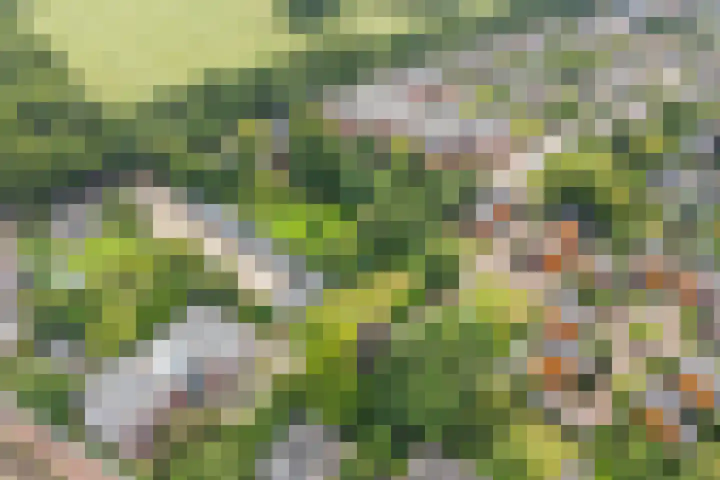 Kastanjehof 20 Velp thumbnail 8