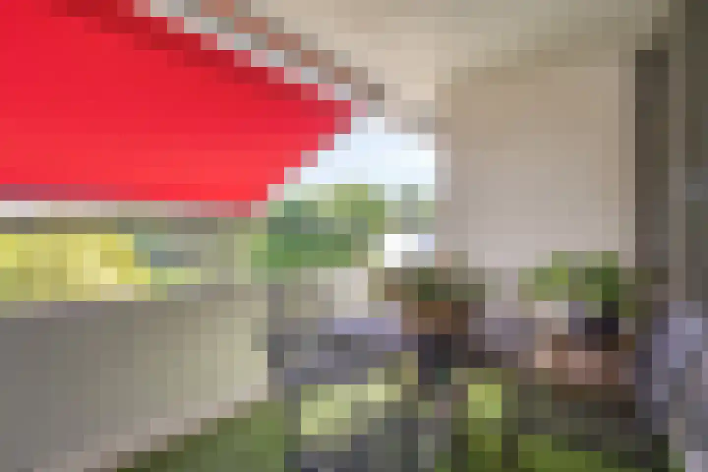 Kastanjehof 303 Geldrop thumbnail 15