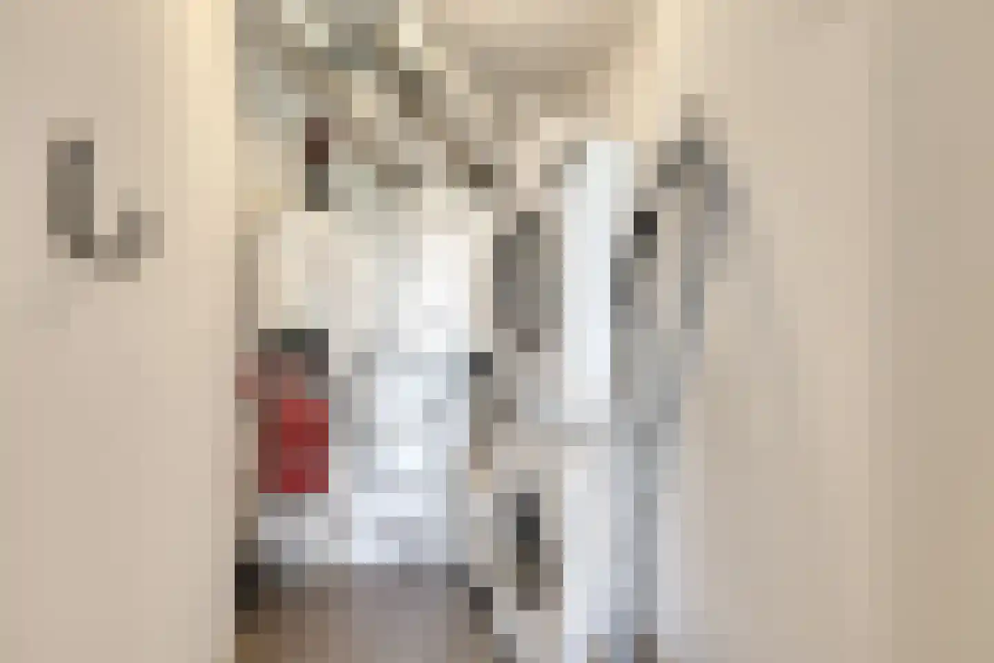 Kastanjehof 303 Geldrop thumbnail 23