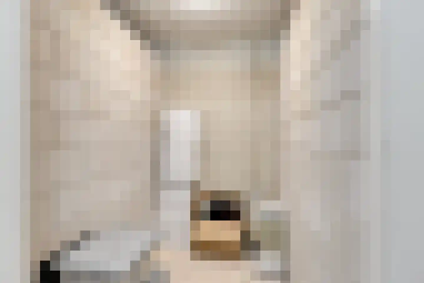 Kastanjehof 303 Geldrop thumbnail 24
