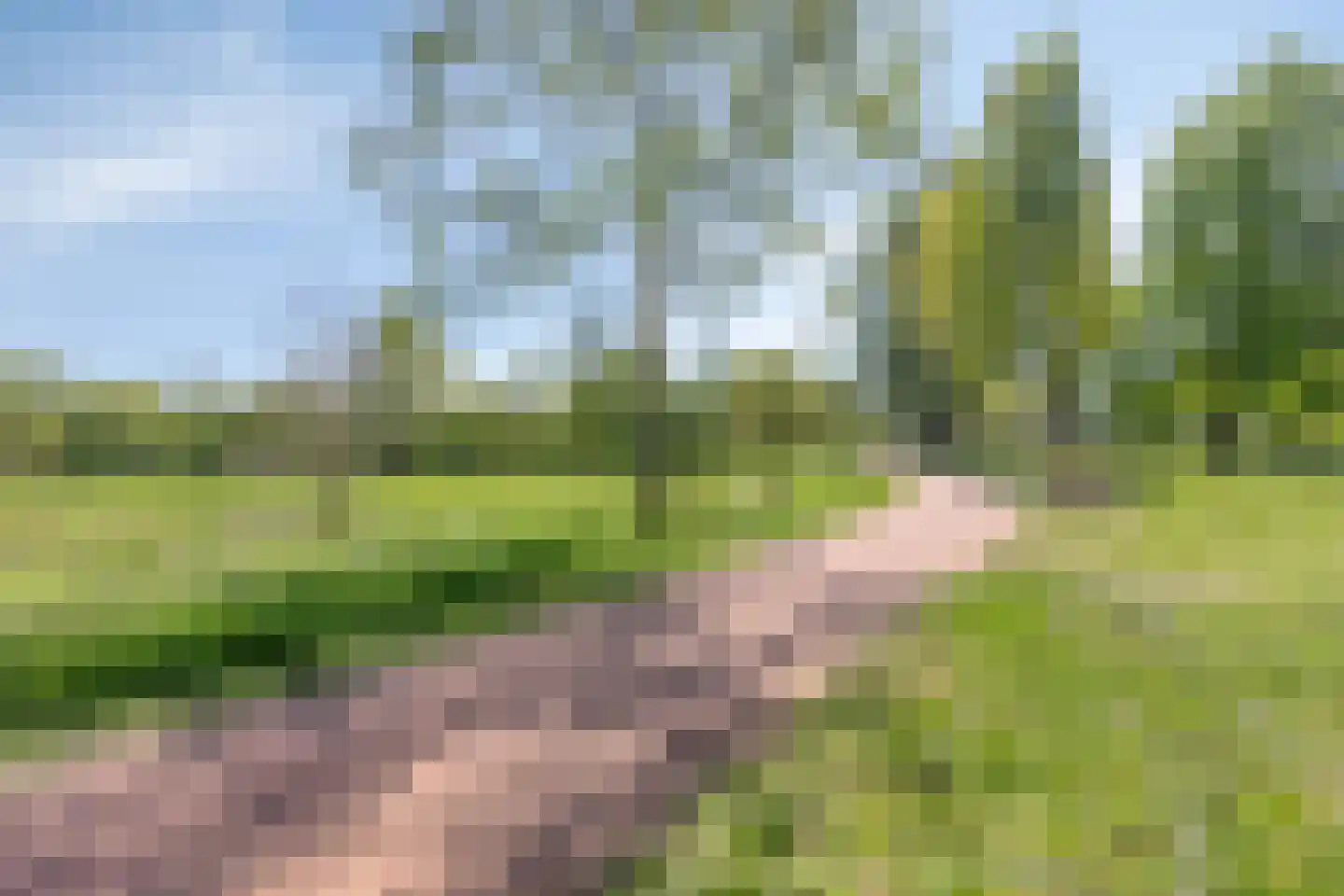Kastanjehof 303 Geldrop thumbnail 26