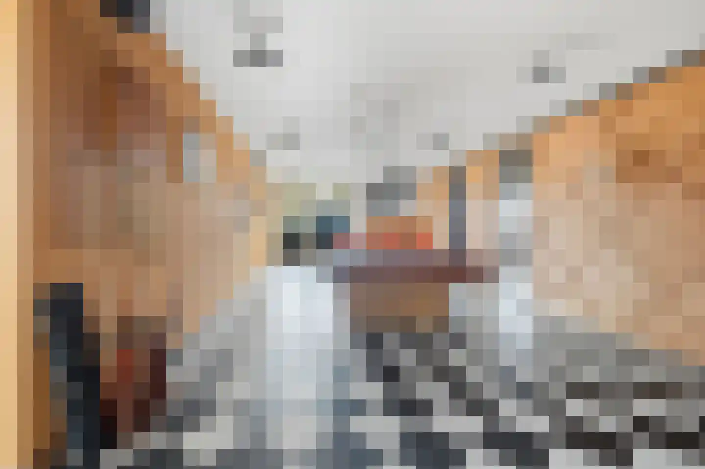 Kastanjehof 303 Geldrop thumbnail 29
